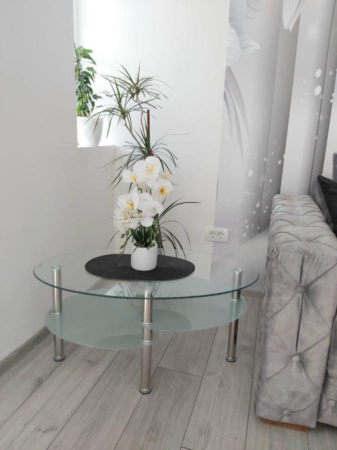 Apartment Marina 2 Котор Экстерьер фото